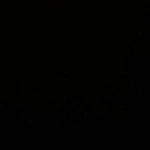 Meet your Posher, Paula anjelou